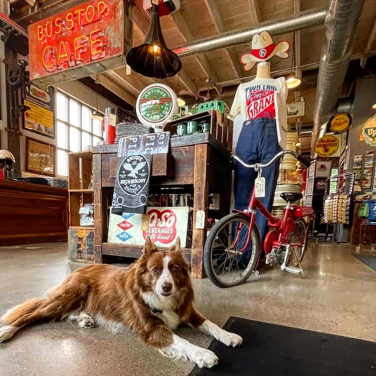 Image of the interior of Antique Archaeology